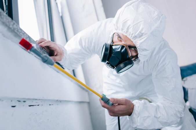 Same-Day Pest Control: Fast Solutions for Sydney Homeowners