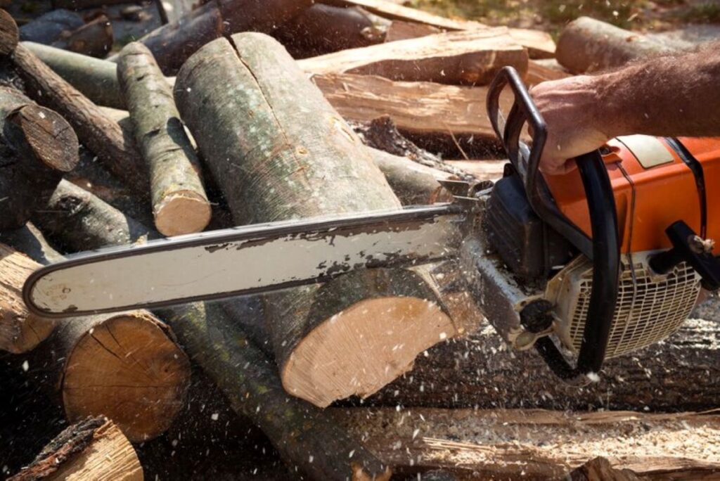 Stump Grinding Service